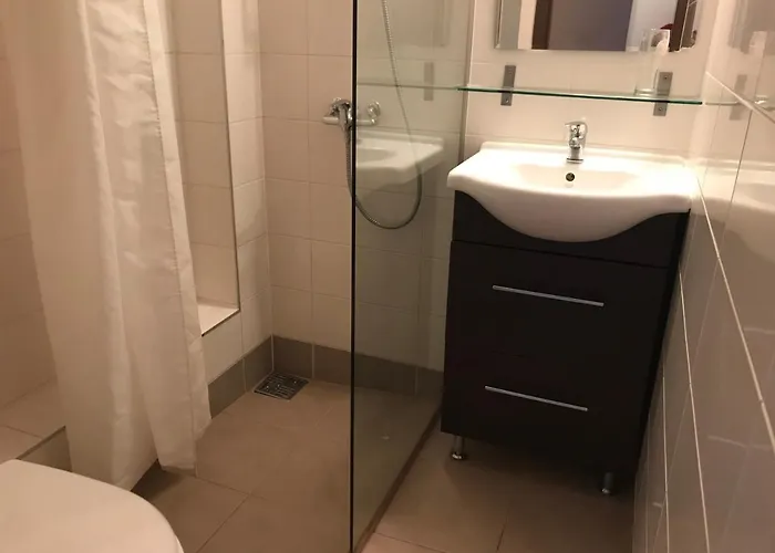 Hotel Coq De Bruyere *