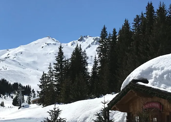 Coq De Bruyere كورشوفيل